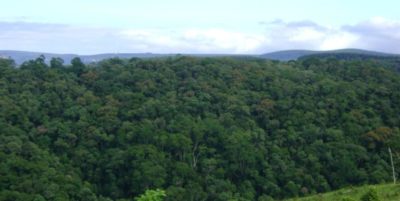 Secretaria do Meio Ambiente aprova o Plano de Manejo da Estação Ecológica de Itapeva